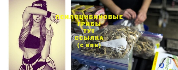 мяу мяу мука Абдулино