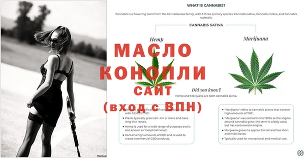 мяу мяу мука Абдулино
