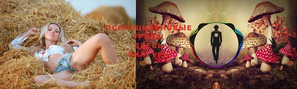 индика Приозерск