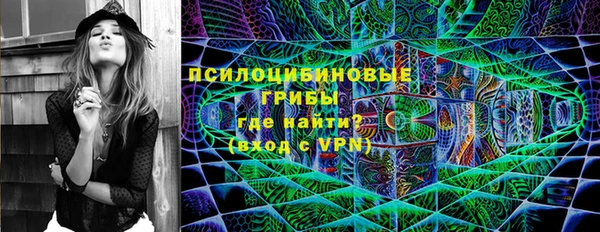 индика Приозерск