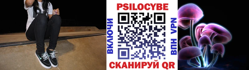 что такое Абаза Галлюциногенные грибы мицелий
